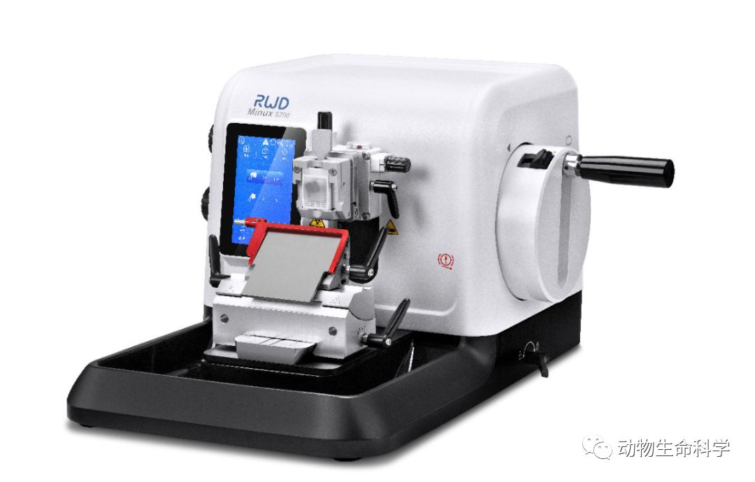 精准切片，便捷操作 | 瑞沃德石蜡切片机全新上市