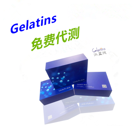 肺炎支原体抗体IgMELISA检测试剂盒