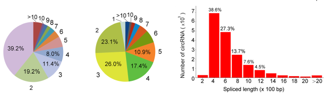 临床科研工作者的福音：如何有效利用临床样本