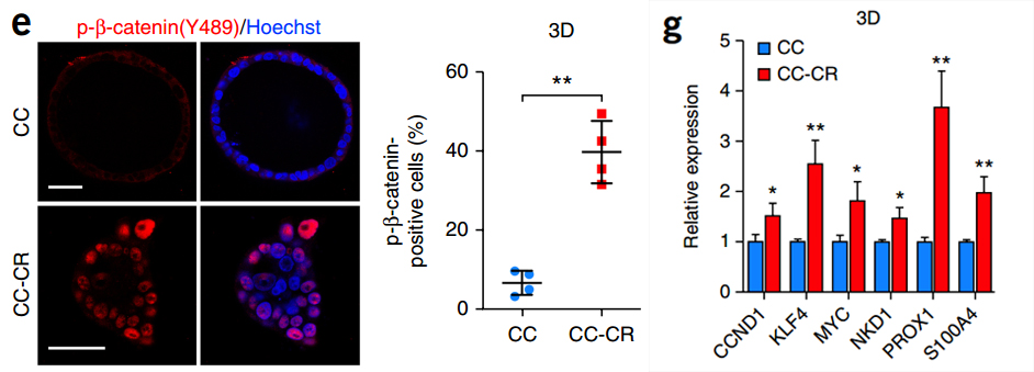都是做耐药性研究，换个思路，Nature Medicine如此简单