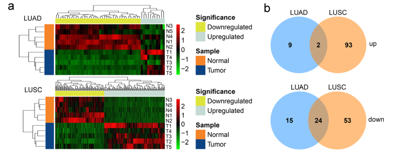 临床科研工作者的福音：如何有效利用临床样本