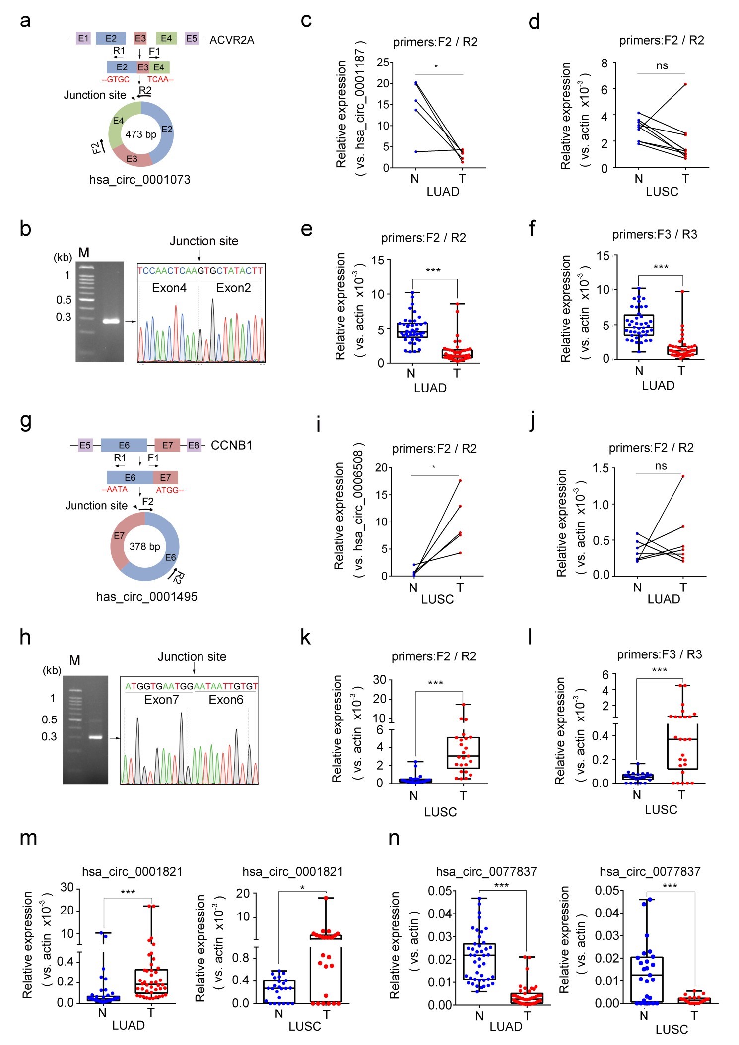 临床科研工作者的福音：如何有效利用临床样本