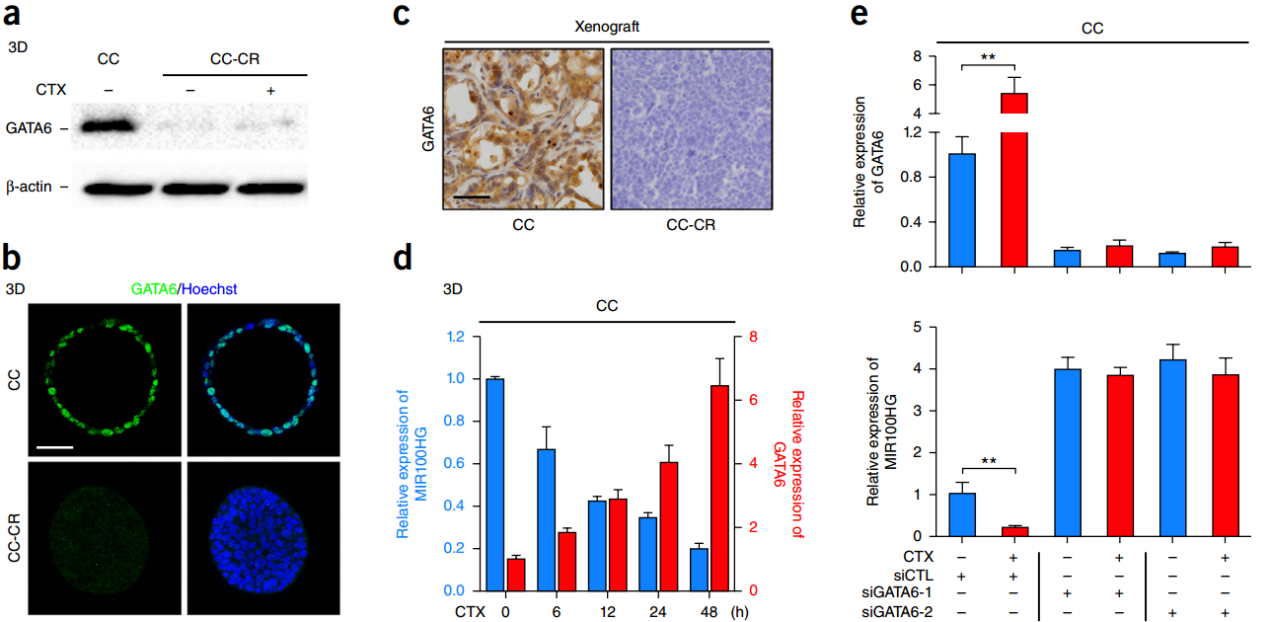 都是做耐药性研究，换个思路，Nature Medicine如此简单