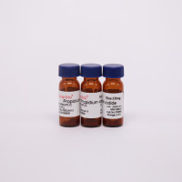 Propidium Iodide 碘化丙啶