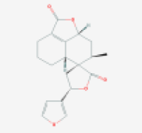 山霍香定53625-15-3价格