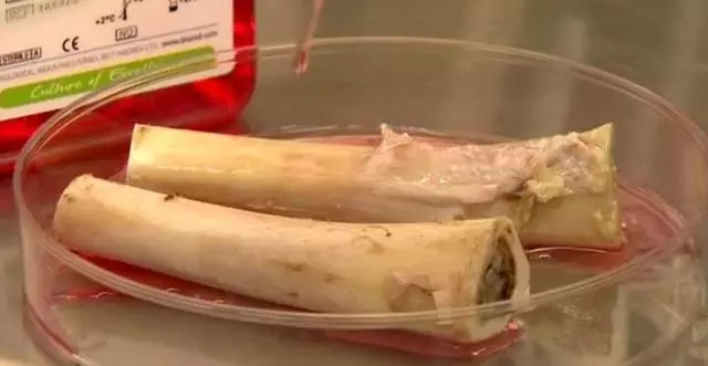 BI NutriStem® MSC家族，带你轻松玩转干细胞研究