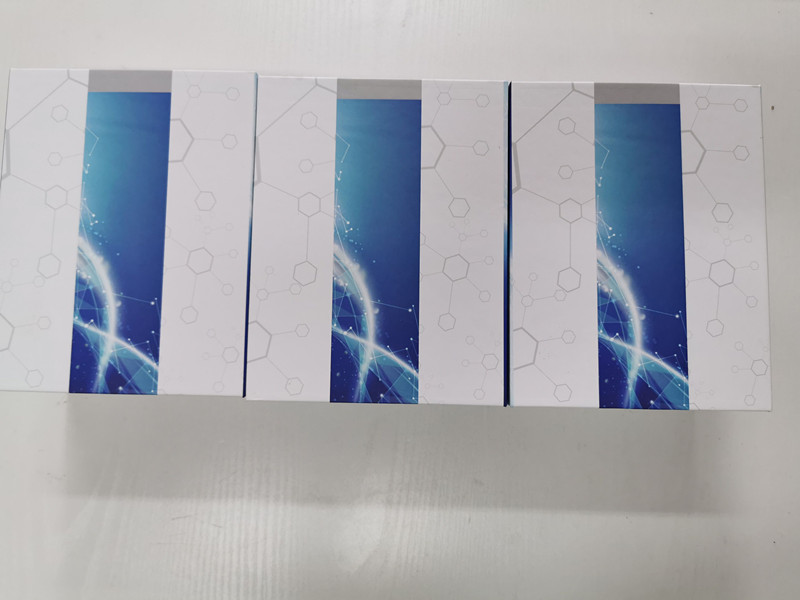 Preptin蛋白ELISA检测试剂盒