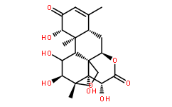 鸦胆子素D21499-66-1价格