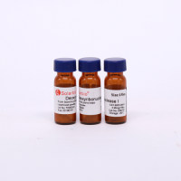 DeoxyribonueleaseⅠ DNase I (牛胰)