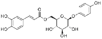 6'-O-Caffeoylarbutin说明书