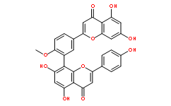 白果双黄酮521-32-4价格