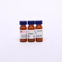 脱氧核糖核酸酶Ⅰ（DnaseⅠ）