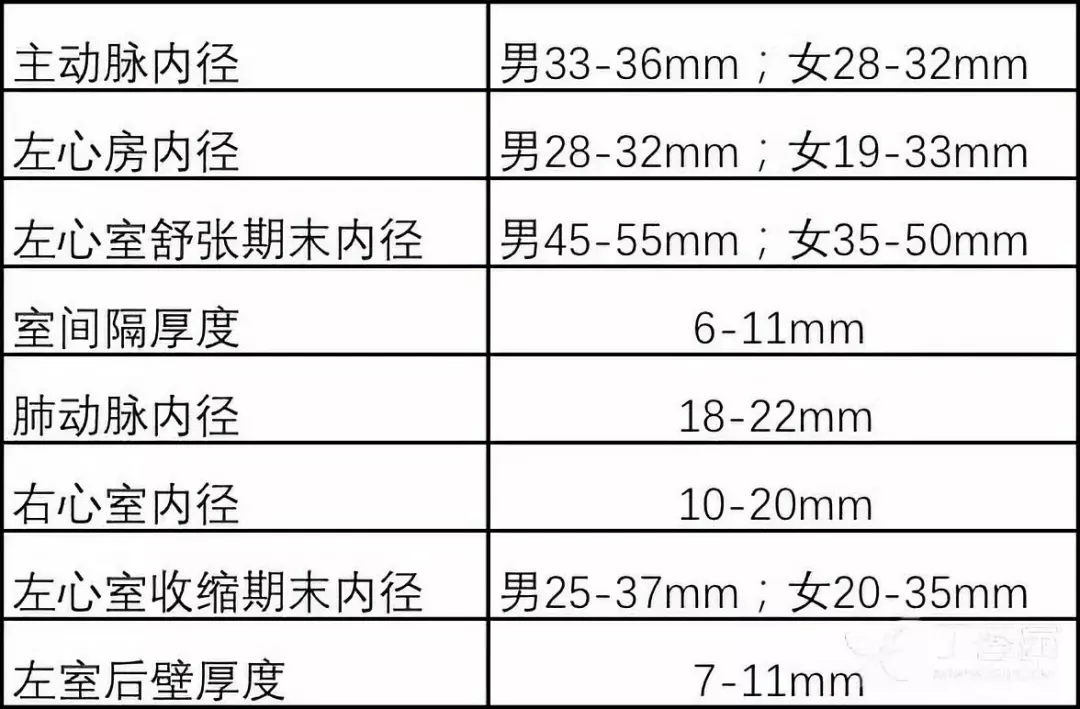 常规二维超声心动图图片