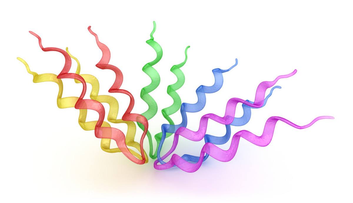 重组小鼠Mybl1蛋白图片