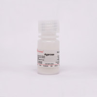 Agarose 琼脂糖
