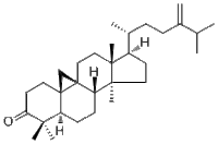 24-Methylenecycloartanone进口试剂