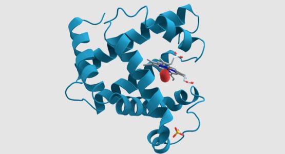 Human Alpha-1-Acid Glycoprotein protein多少钱