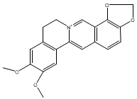 表小檗碱1816598图片
