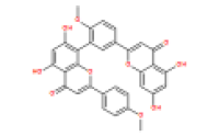 异银杏双黄酮548-19-6价格