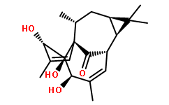 20-去氧巨大戟萜醇54706-99-9图片