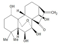 冬凌草甲素、冬凌草素28957-04-2价格