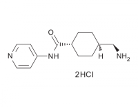 Y27632 (2HCl)