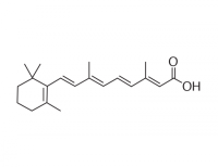 Retinoic Acid