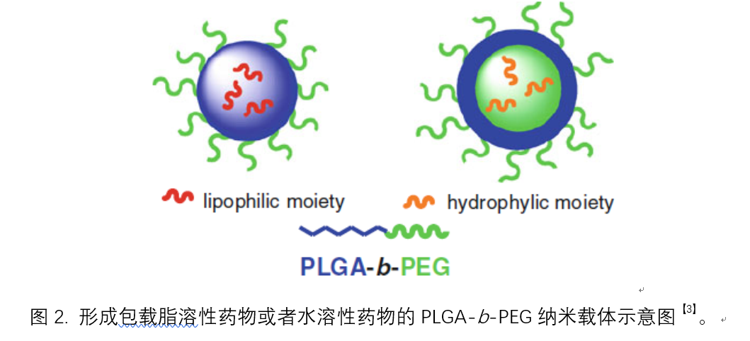 PLGA-b-PEG纳米载药平台系列介绍：PLGA-b-PEG共聚物的起源，合成及物化性能 - 企业动态 - 丁香通