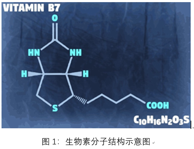 生物素化标记与解离技术 - 企业动态 - 丁香通