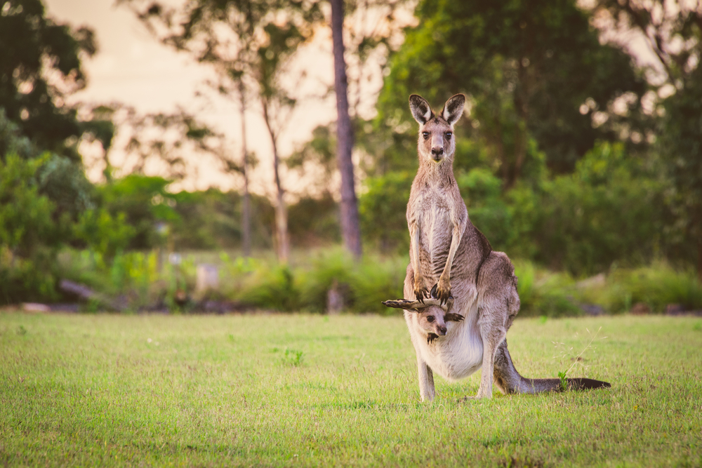 shutterstock_605690549_wps图片.jpg