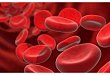 长效促红细胞生成素可能与血液透析患者死亡相关