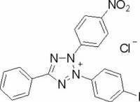 碘硝基氯化四氮唑蓝(INT )