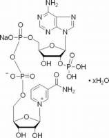 氧化型辅酶Ⅱ单钠盐