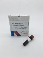 细胞骨架蓝色荧光探针