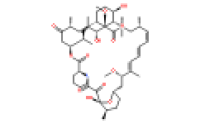 雷帕霉素53123-88-9厂家