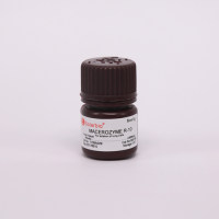 MacerozymeR-10 离析酶R-10 9032-75-1 供应