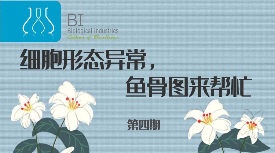 细胞形态异常，鱼骨图来帮忙（四）