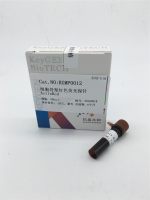 细胞骨架红色荧光探针ActinRed