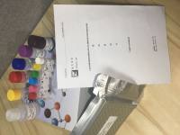 β-呋喃果糖苷酶检测试剂盒