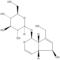 桃叶珊瑚苷479-98-1图片