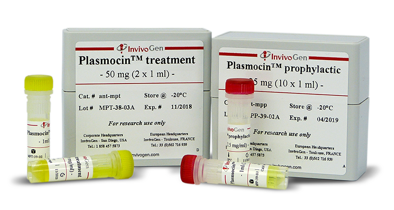 Plasmocin™ treatment