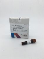 Tubulin-Tracker Red(微管红色荧光探针)