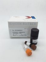 核—线粒体转位分析试剂盒（HCS法）