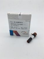 线粒体紫红荧光探针-MitoDeedRed