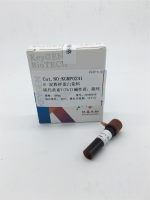 β-淀粉样蛋白染料—硫代黄素T(ThT) 碱性黄，超纯