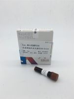 内质网绿色荧光探针ER-Green [DiOC6(3)]