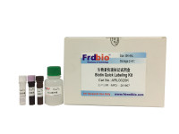 生物素标记试剂盒