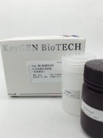 尼氏小体(Nissl)染色液（焦油紫法）