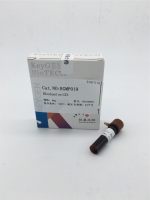 Rhodamine 123, 超纯(罗丹明 123)