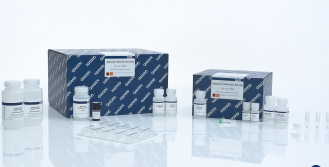 51304 qiagen 凯杰优秀代理商 QIAamp DNA Mini Kit (50) DNA 小提试剂盒 